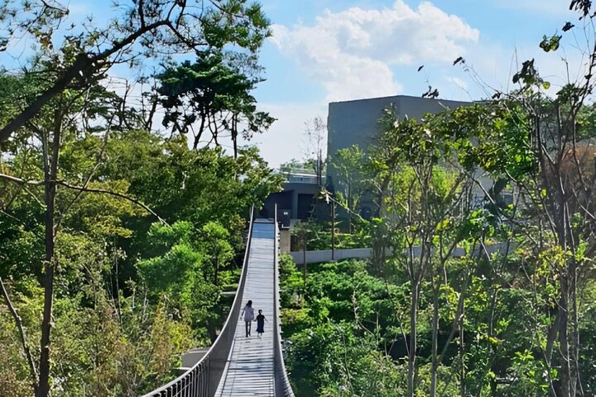 dues persones caminant per un pont al bosc