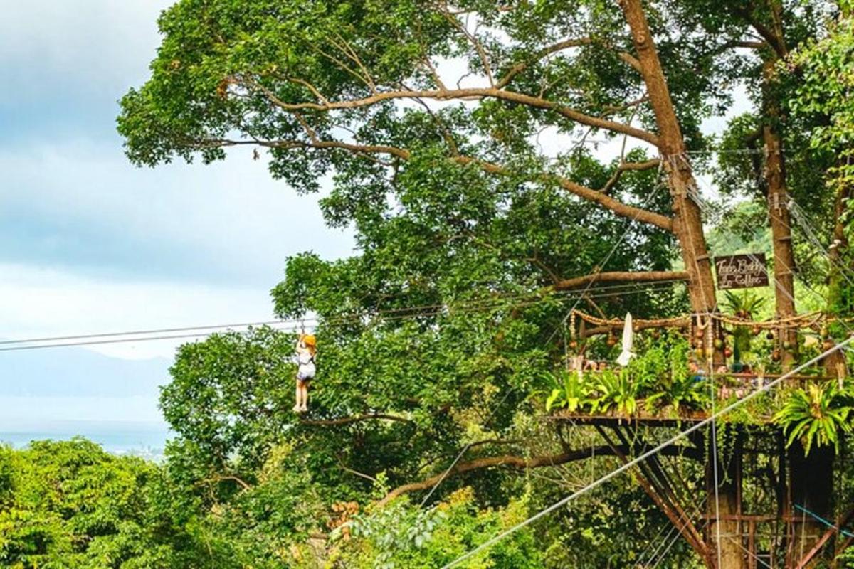 isang tao sa isang zip line sa isang puno