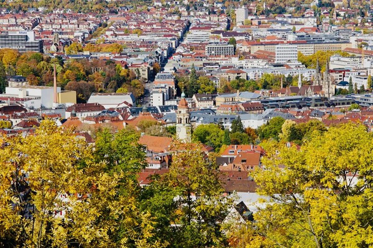Útsýni yfir borg með trjám og byggingum