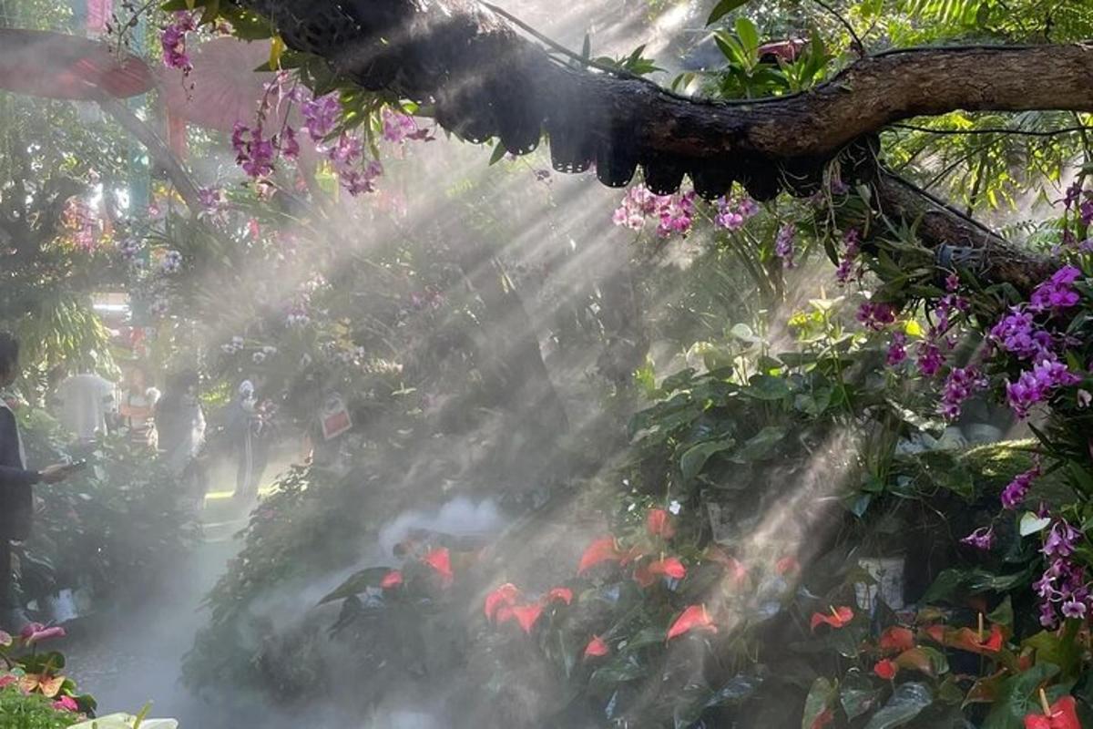 un giardino con un sistema di irrigazione che spruzza i fiori