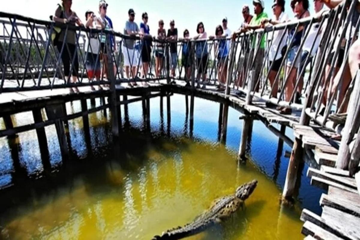 un gruppo di persone che osserva un alligatore nell'acqua