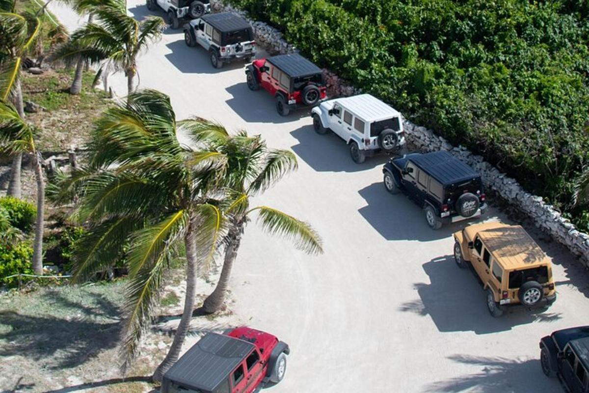un gruppo di camion parcheggiati su una spiaggia con palme