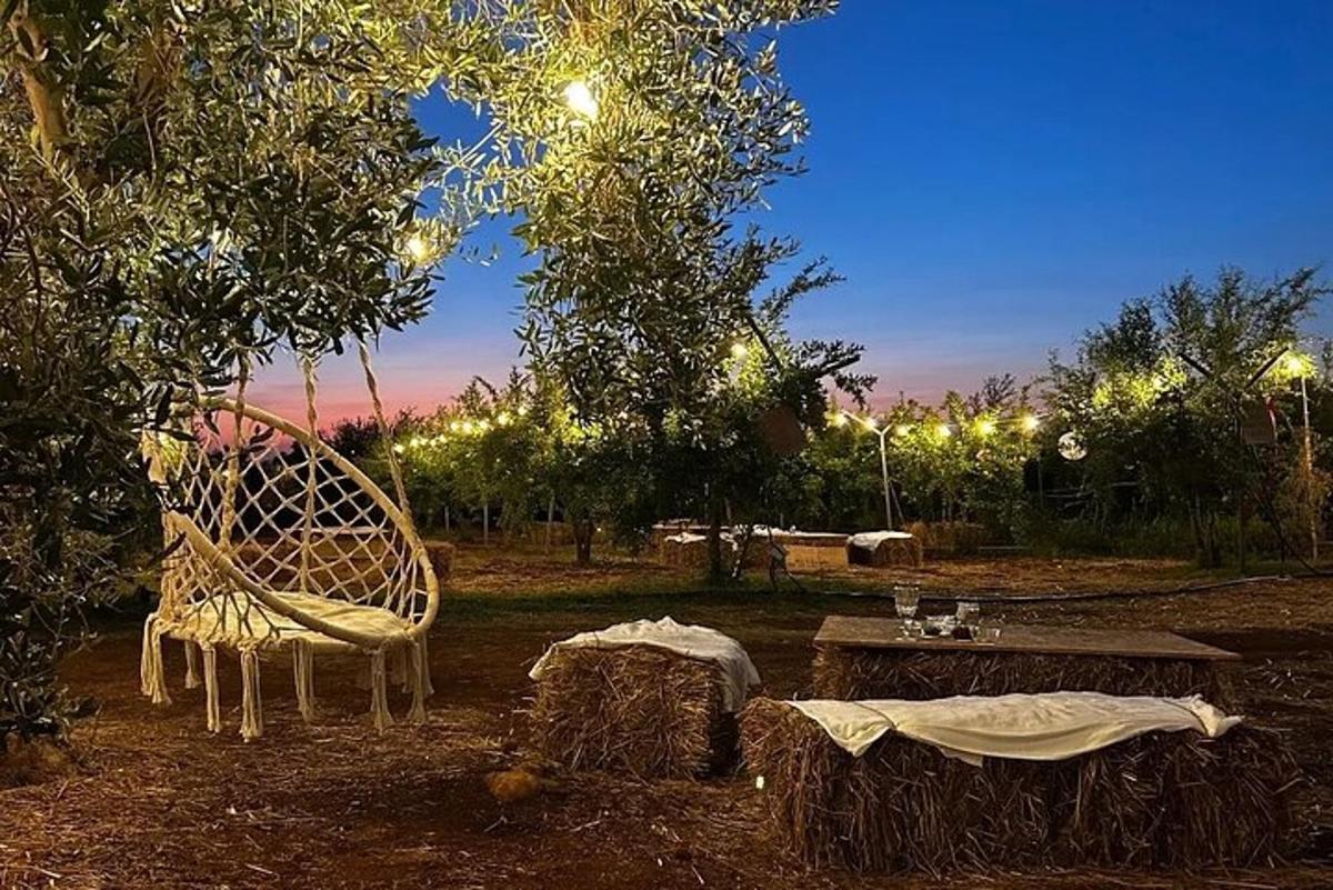 a garden with a table and chairs and lights