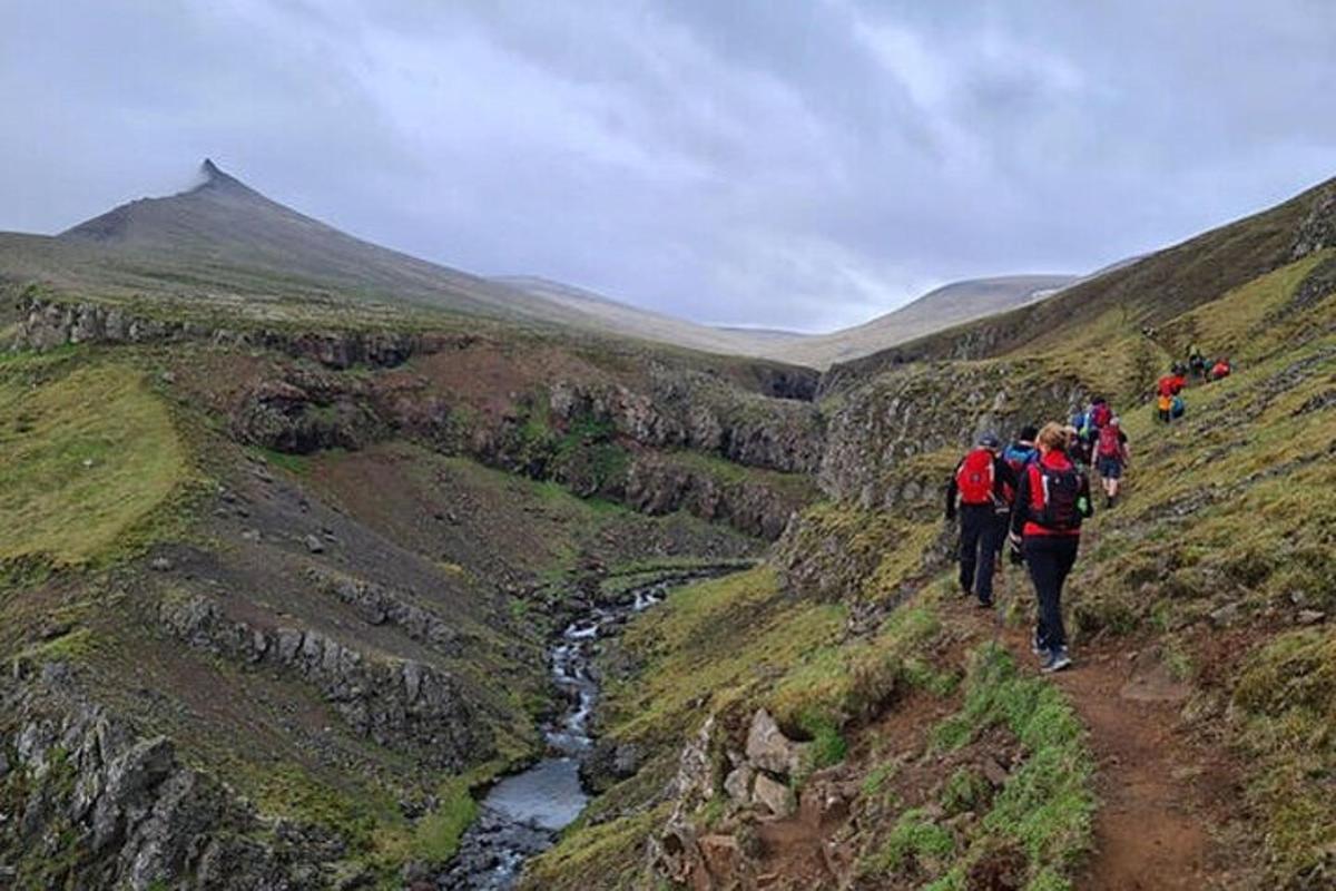 un gruppo di persone che camminano su un sentiero di montagna