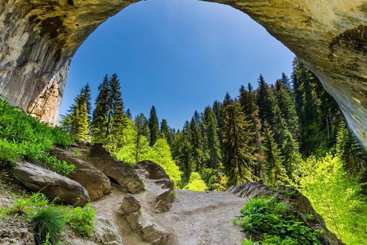 pogled izpod skalnega loka v gozdu