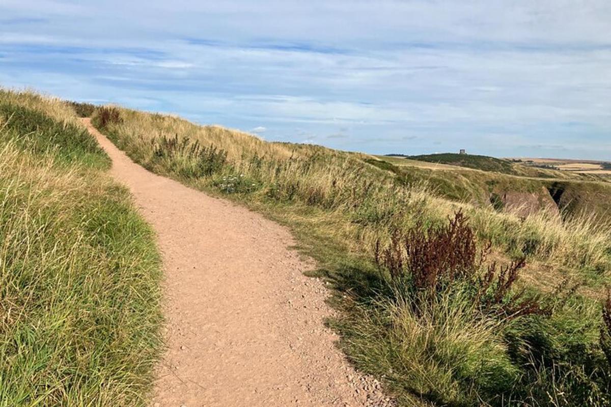 a dirt road in the middle of a grassy field