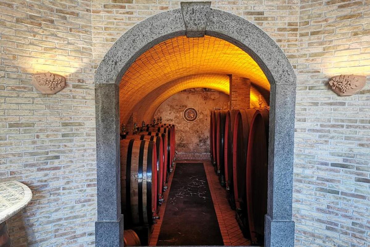 a tunnel with a row of wine barrels in a building