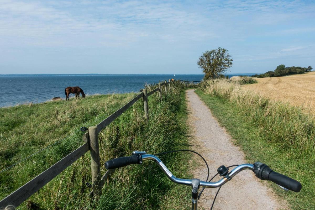 en sykkel parkert ved siden av et gjerde med en hest som beiter