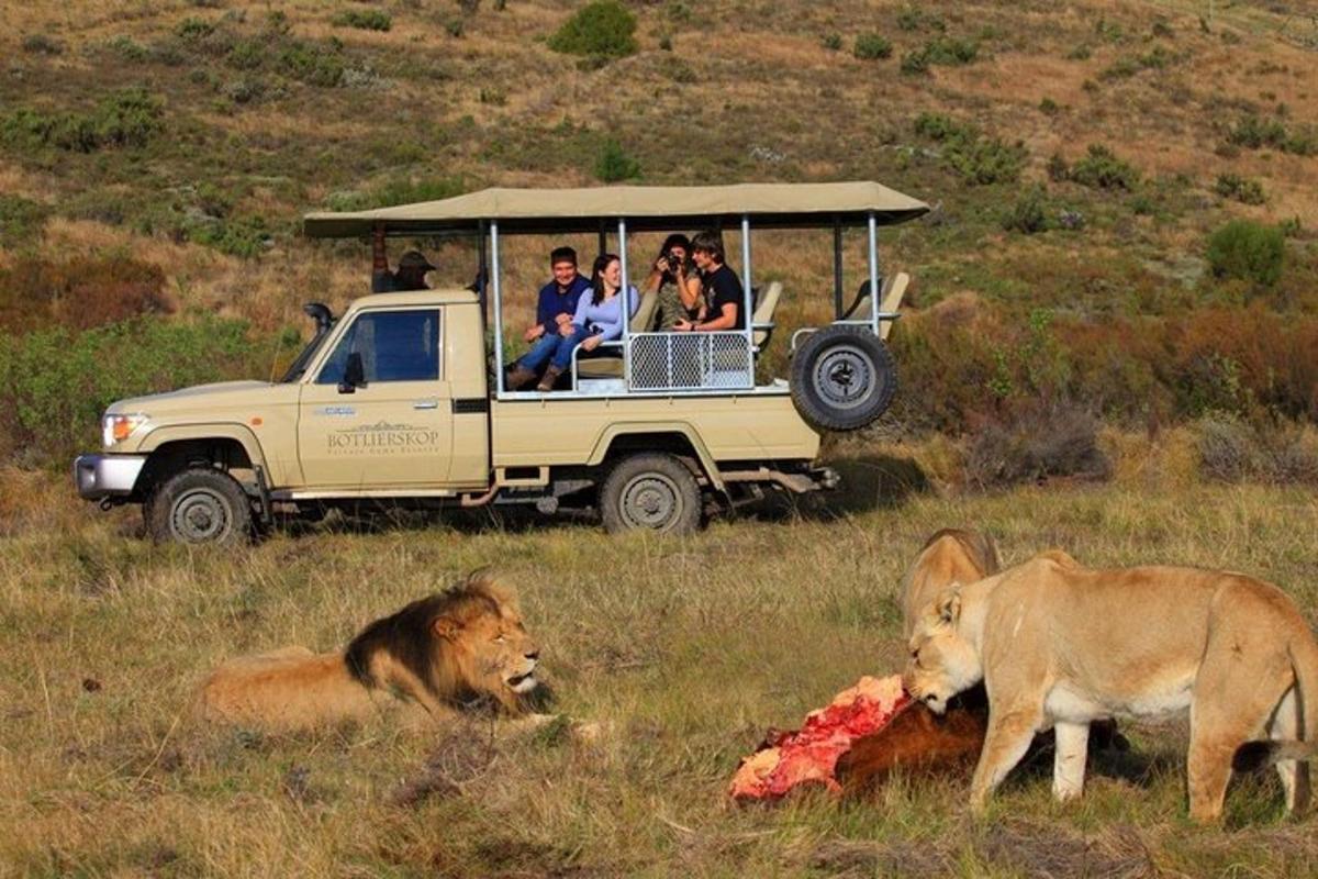 un grup de persones en un vehicle de safari amb un animal mort