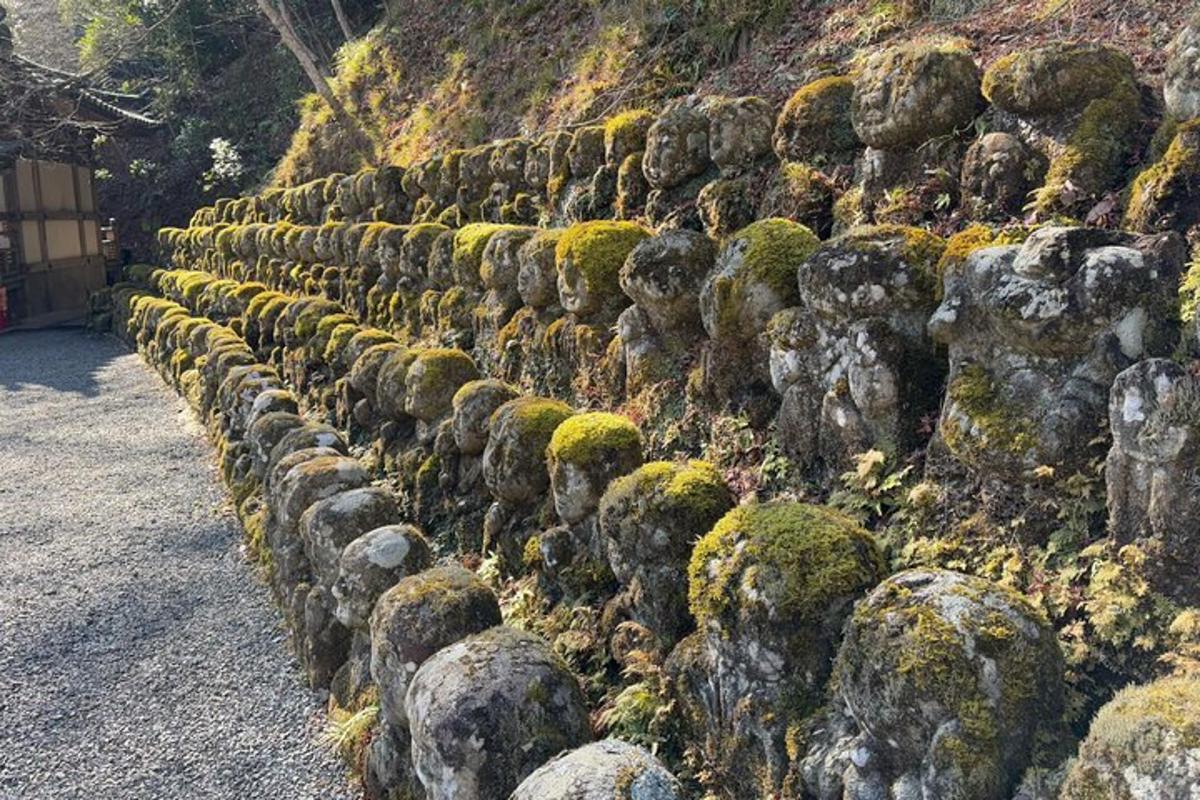 una fila di rocce coperte di muschio su una collina