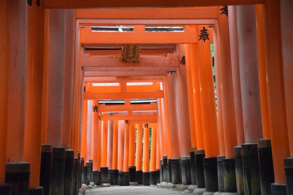 rad oranžových brán torii v budove
