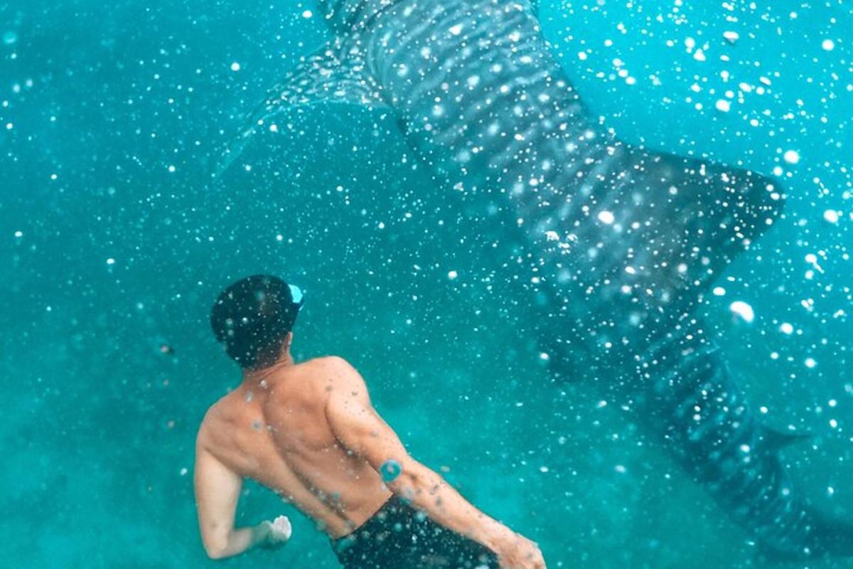 Un hombre nadando en el agua del océano.