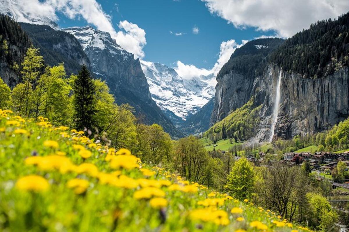 a field of yellow flowers in front of a waterfall
