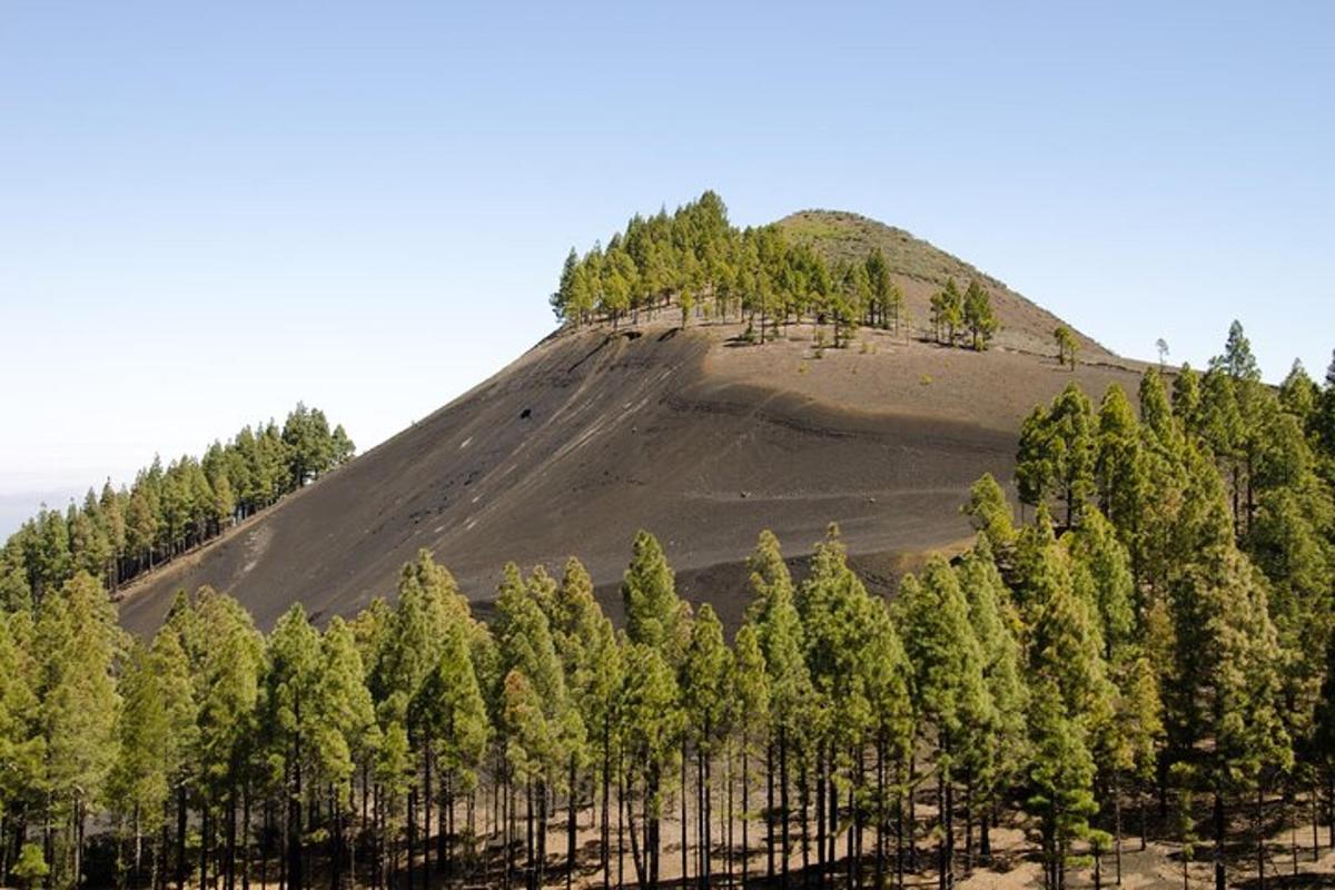 un turó amb un munt d'arbres al cim
