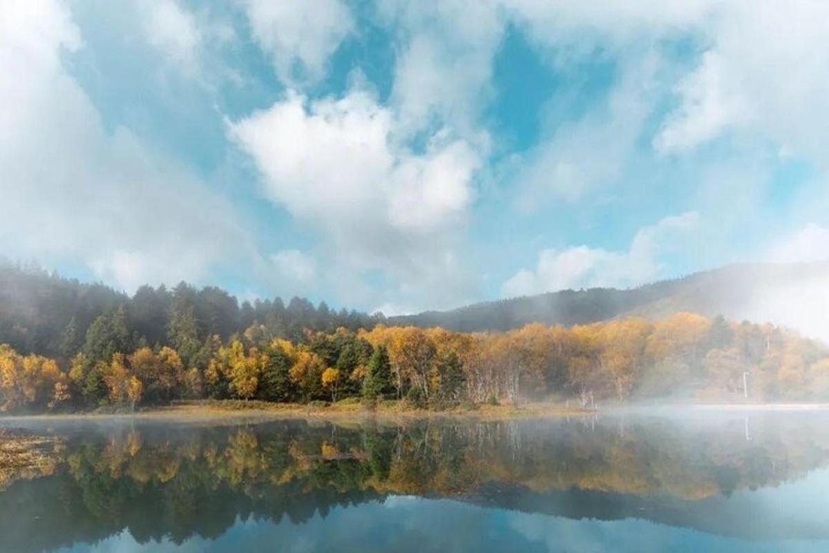 a body of water with trees in the background