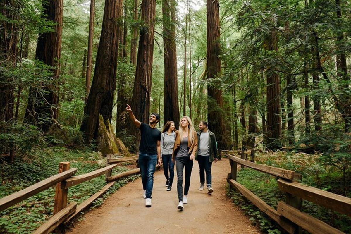 um grupo de pessoas caminhando em uma trilha na floresta