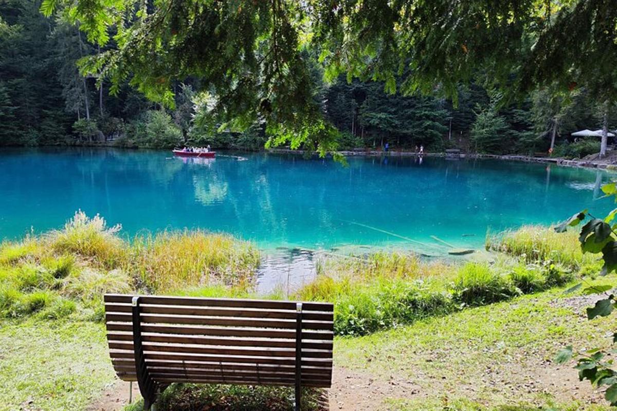 o bancă în parc așezată în fața unui lac albastru