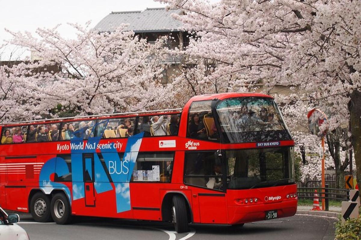 Červený dvoupatrový autobus jedoucí po ulici s třešňovými stromy