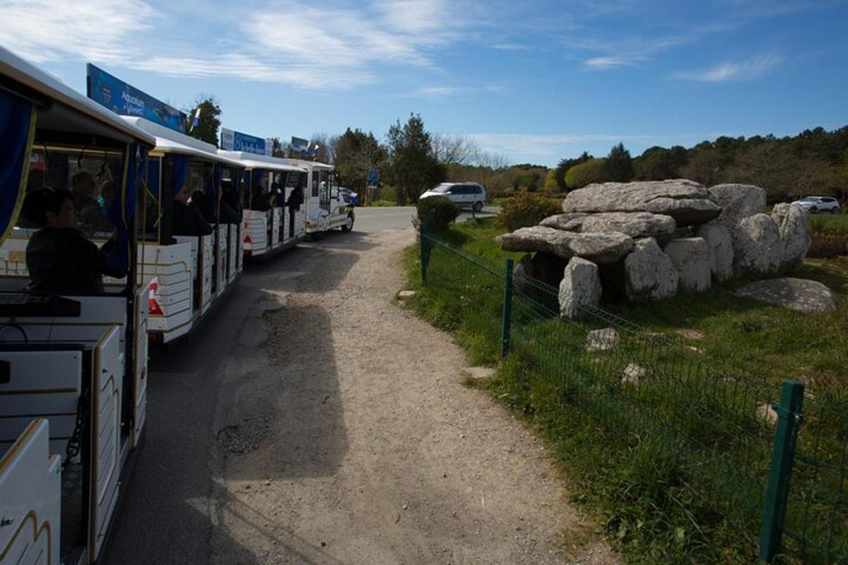 two buses parked next to a fence with people looking at a giraffe
