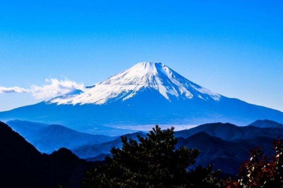 a snow covered mountain in the distance with a tree