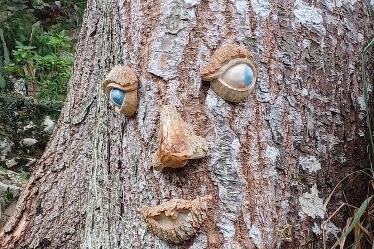 Un árbol con algunos ojos a un lado.
