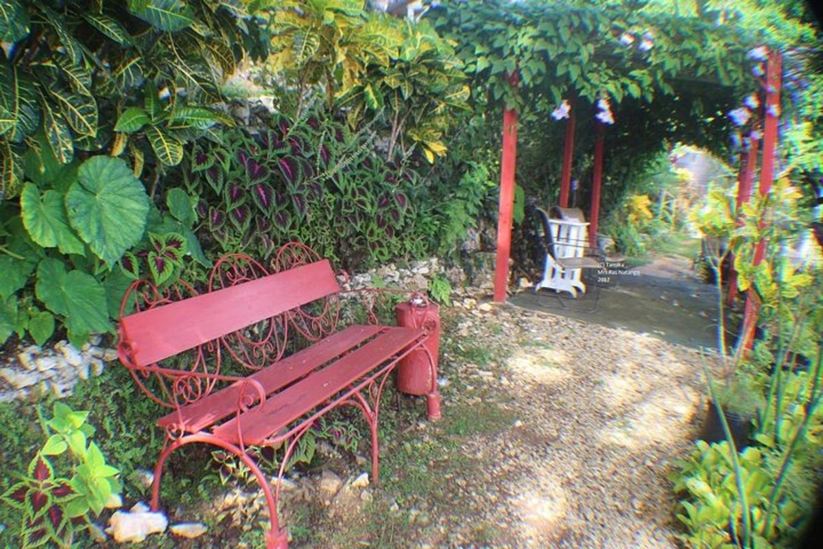 una panchina rossa in un parco in giardino