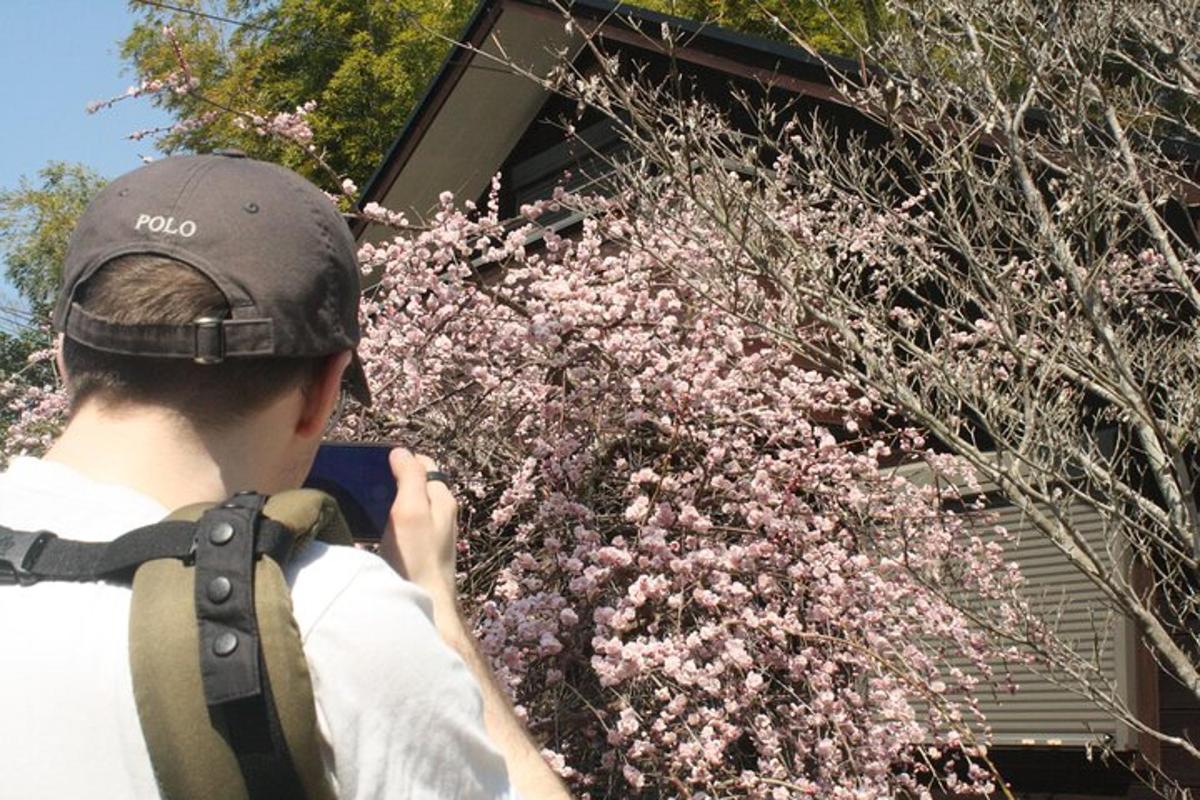 un uomo che scatta una foto di un albero con fiori rosa