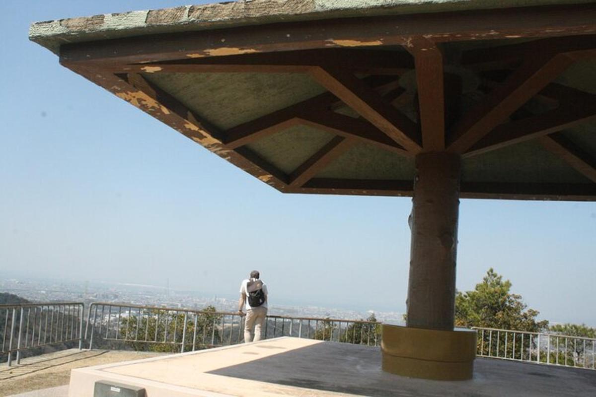 un uomo in piedi sul bordo di un tetto