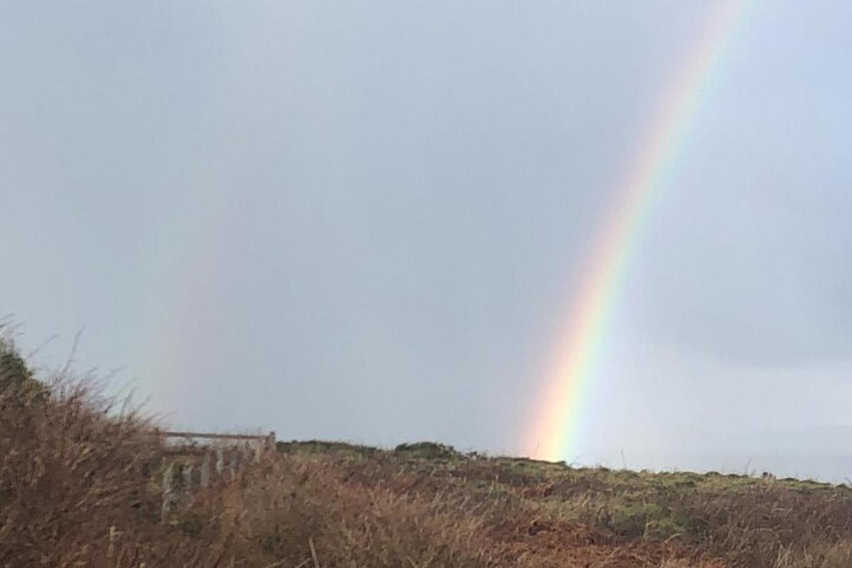 un arc de Sant Martí al cel sobre un camp