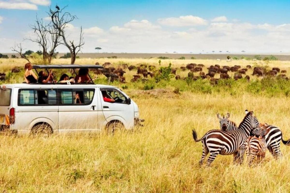 um grupo de pessoas em um veículo em um campo com zebras