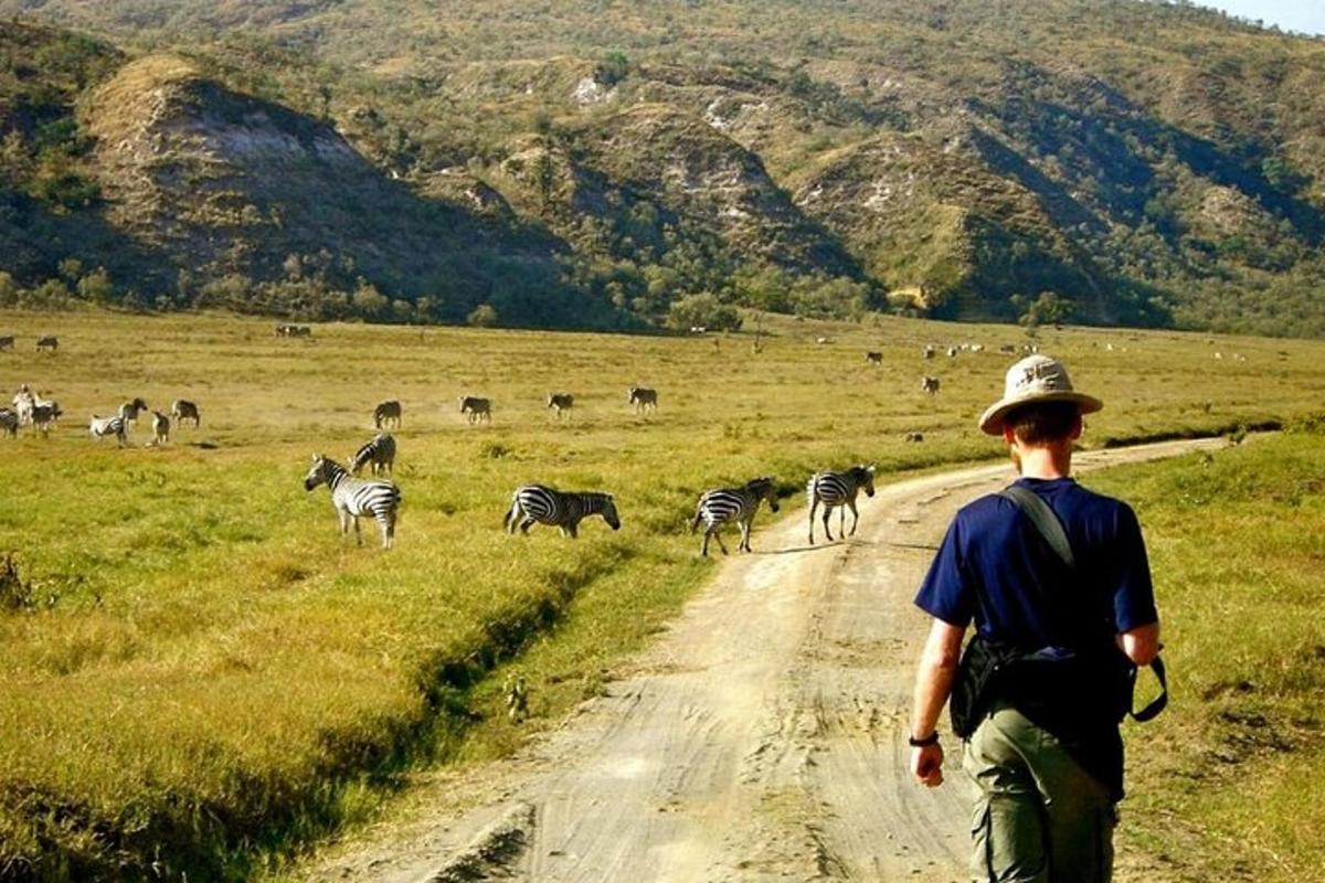 a man walking down a dirt road with a herd of zebras