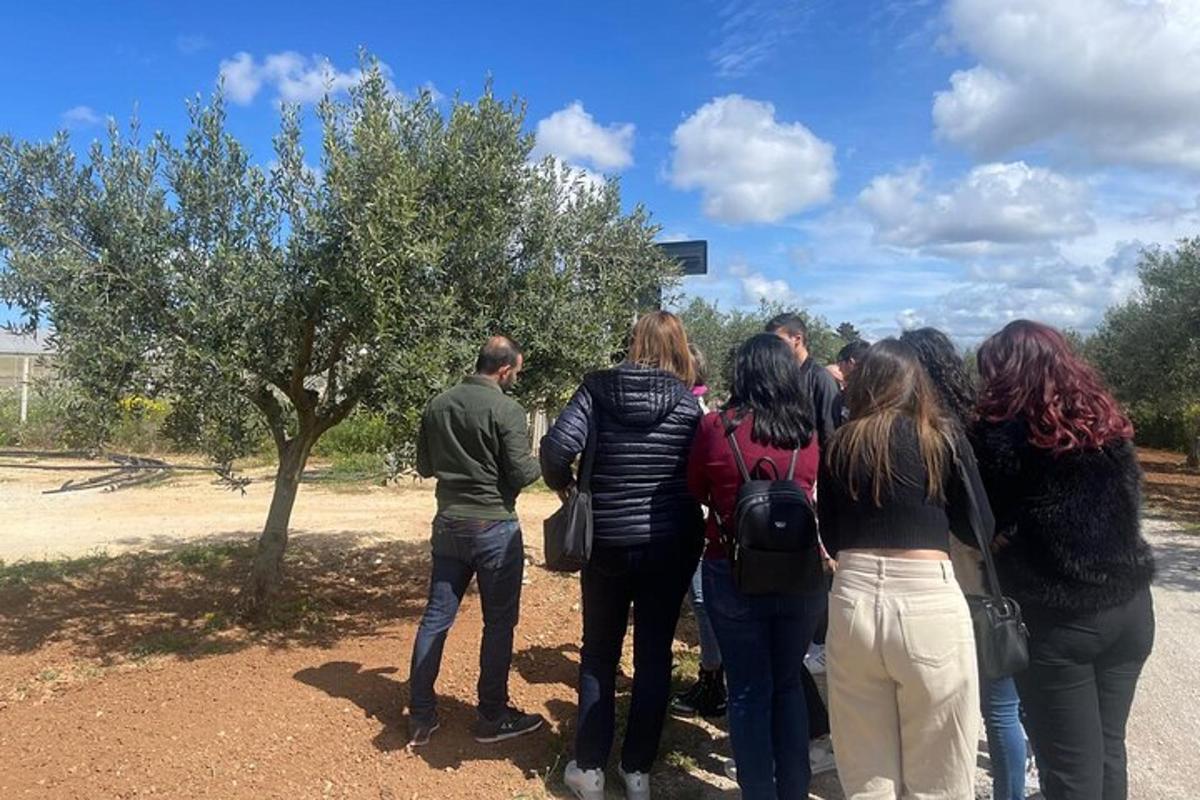un grup de oameni care stau lângă un copac