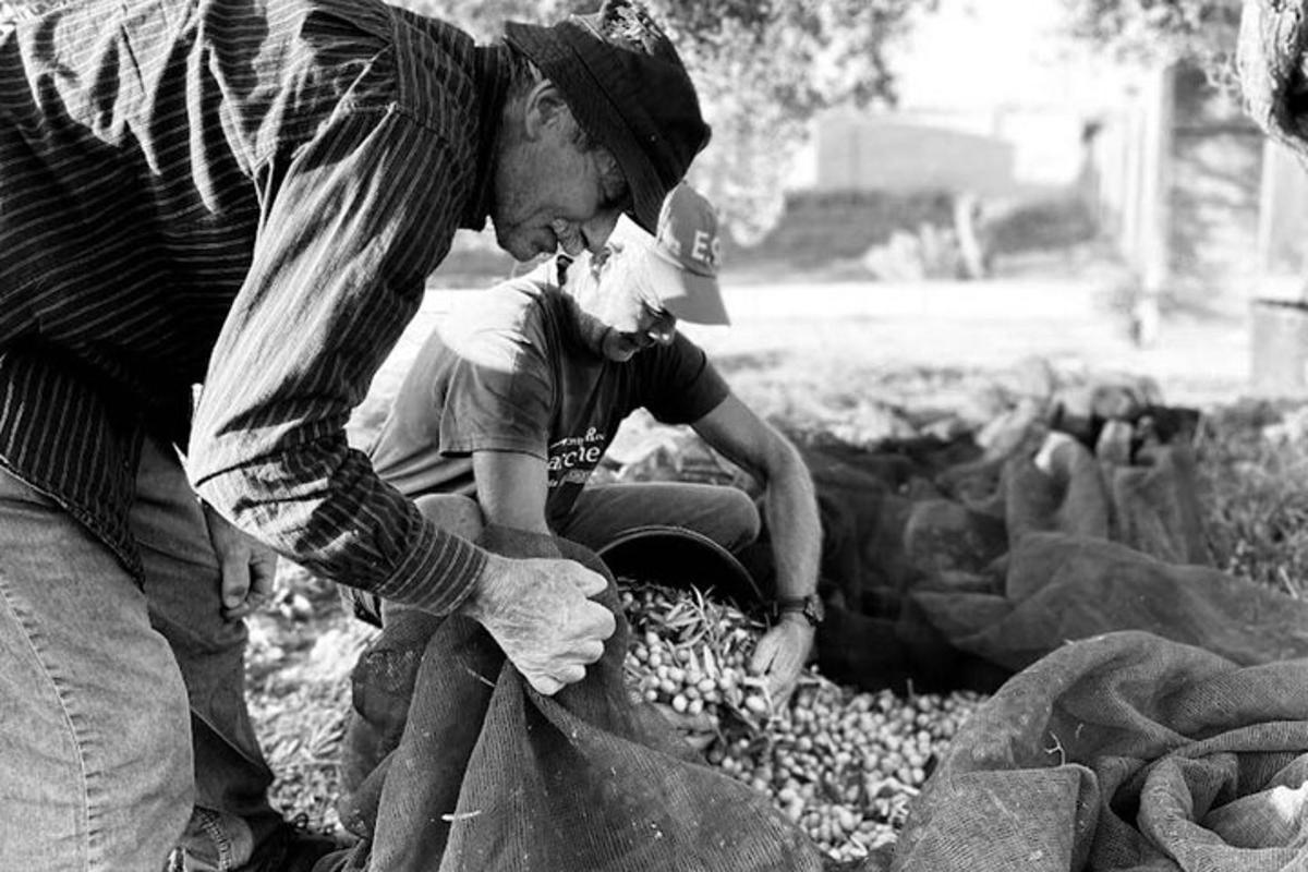 two men are looking at something on the rocks