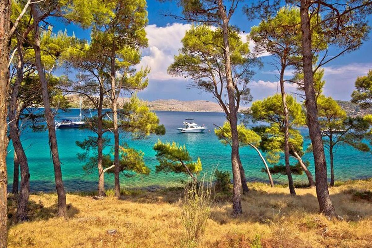 una barca in uno specchio d'acqua con alberi