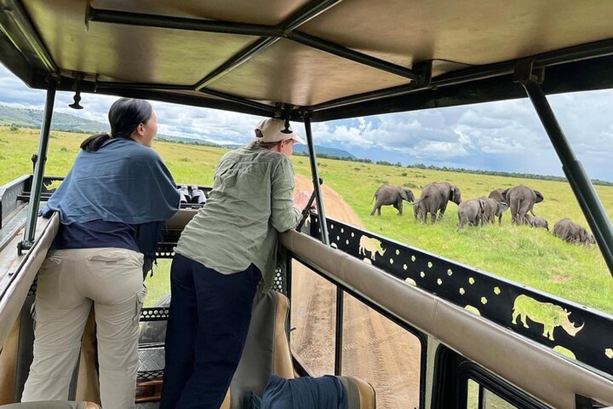 Dos mujeres observando una manada de elefantes desde un vehículo.
