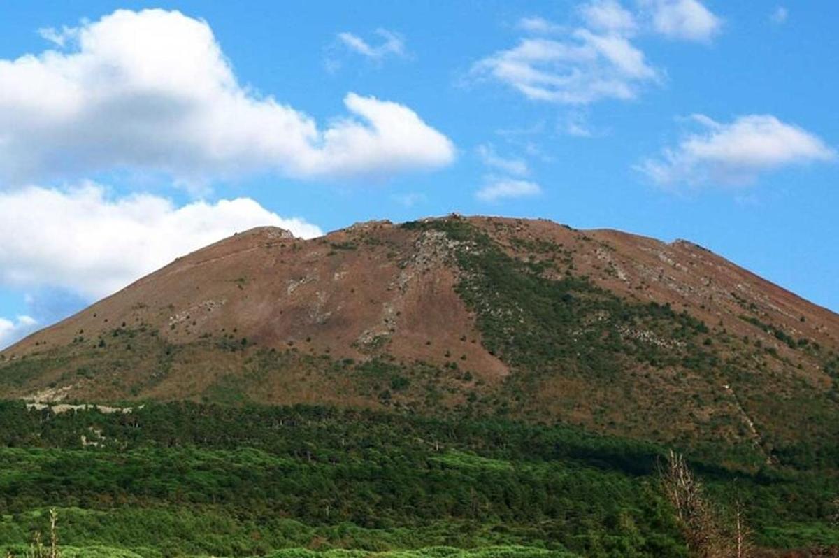 una montaña con árboles y un cielo azul con nubes