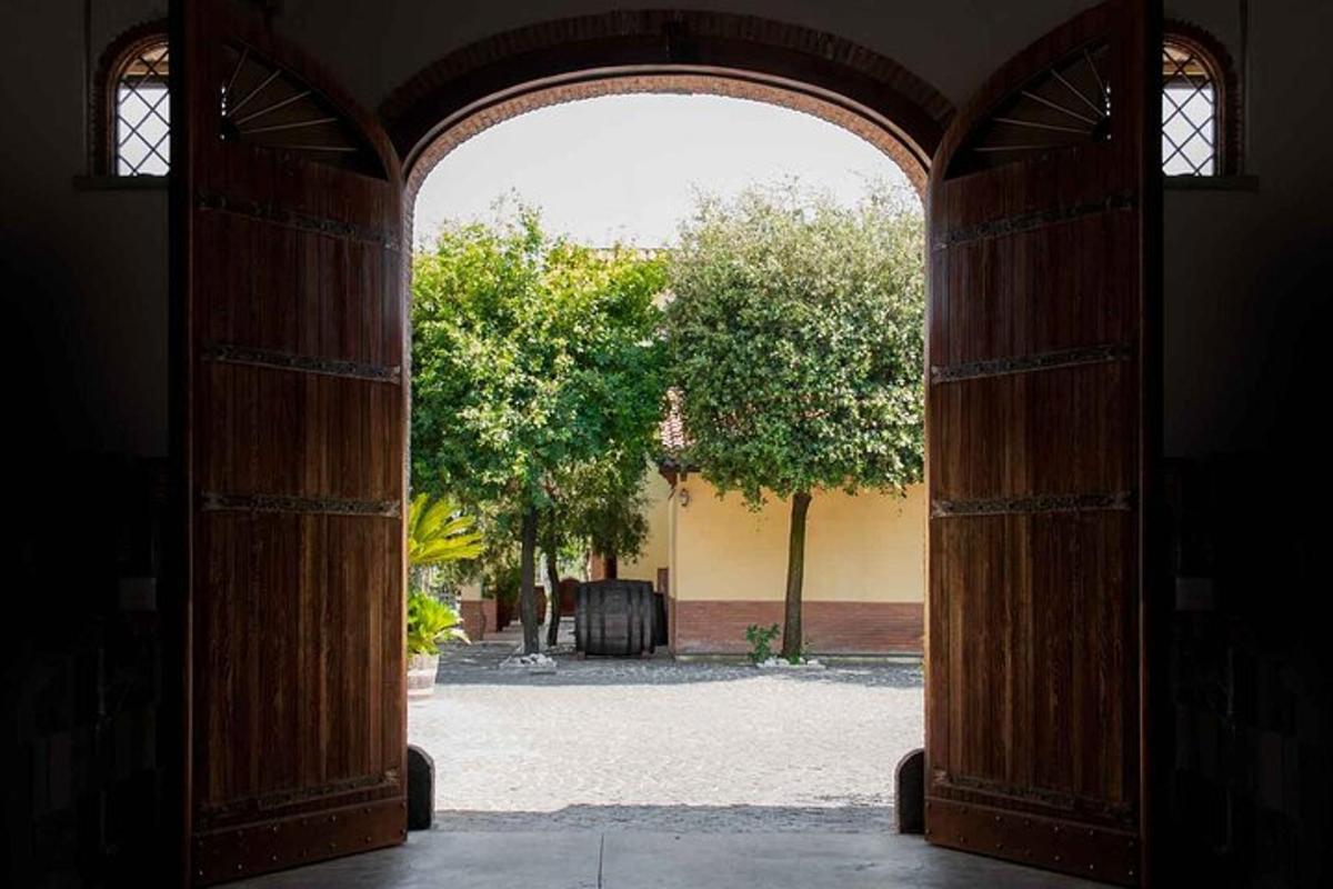Una puerta abierta a un patio con árboles.