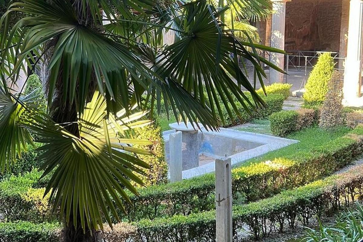 una palma e una fontana in un giardino