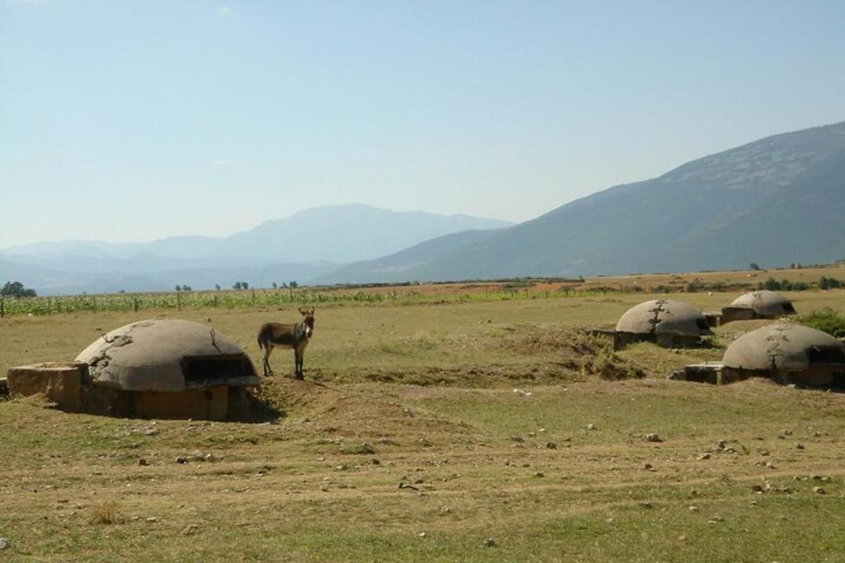 un cavall dret al mig d'un camp amb cúpules