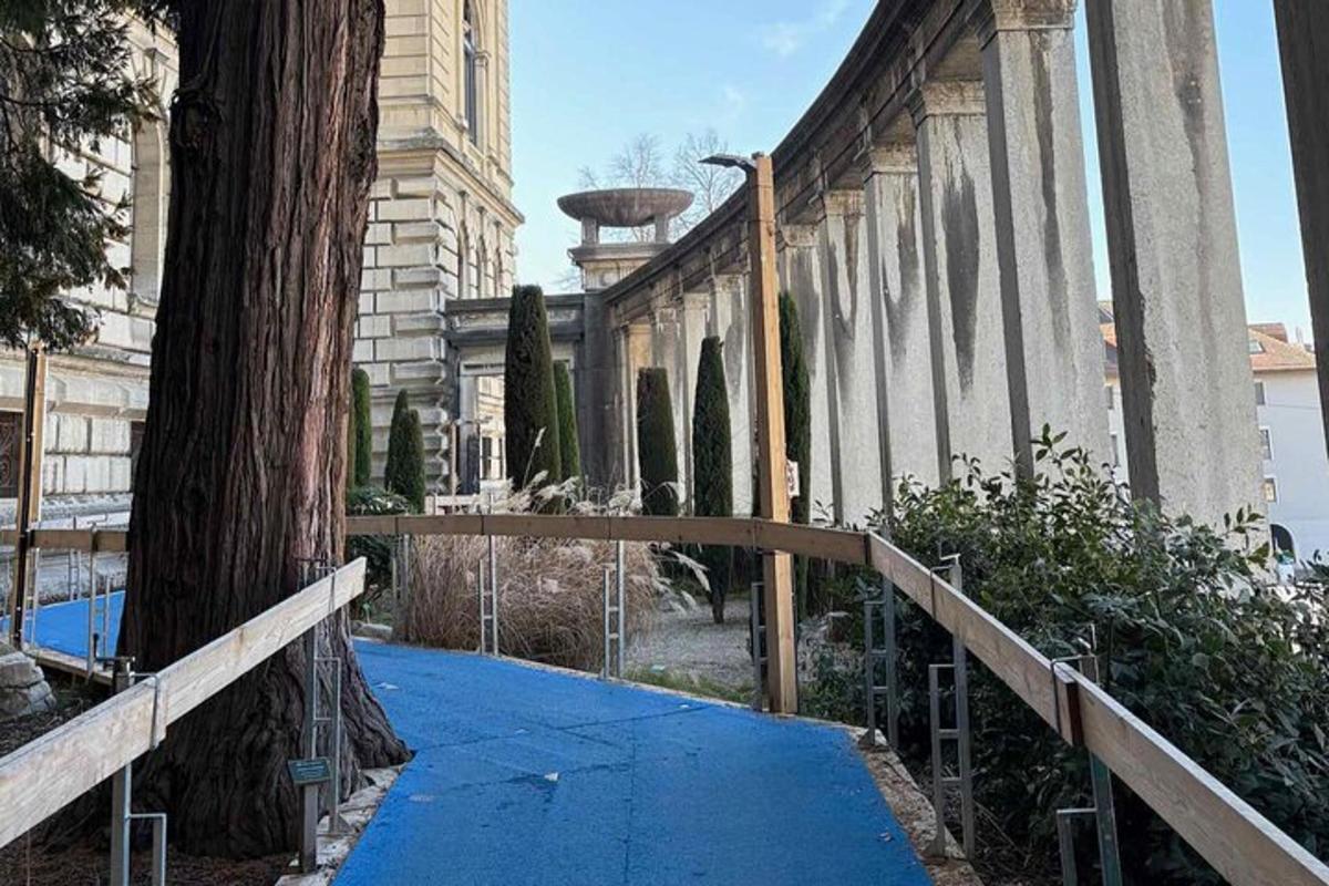 jalan setapak menuju gedung dengan pohon