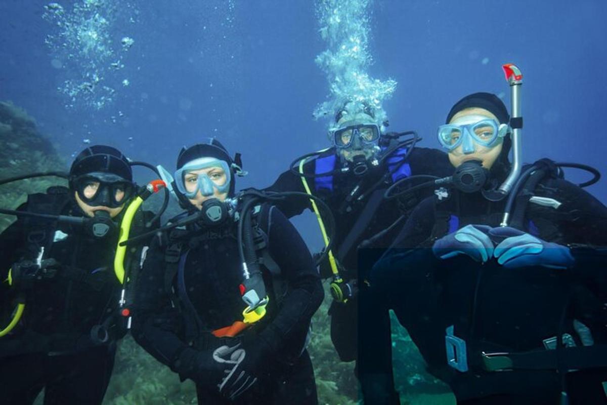 grupė žmonių su nardymo įranga vandenyje