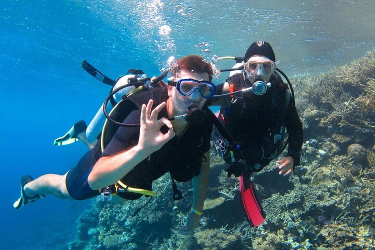 două persoane fac scufundări în ocean