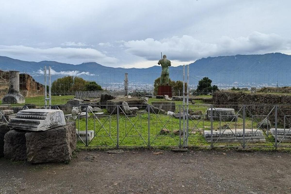 una statua in un campo dietro una recinzione