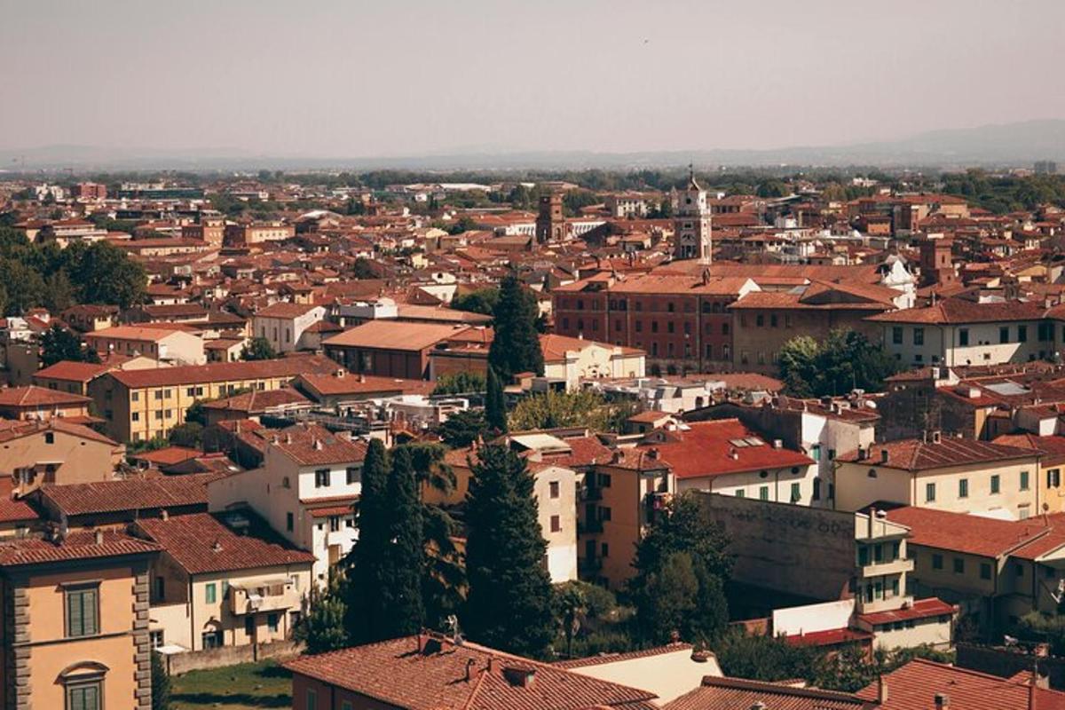 una vista di una città con case e tetti
