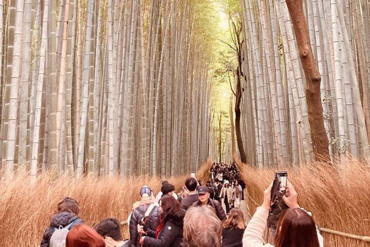uma multidão de pessoas caminhando por uma floresta de bambu