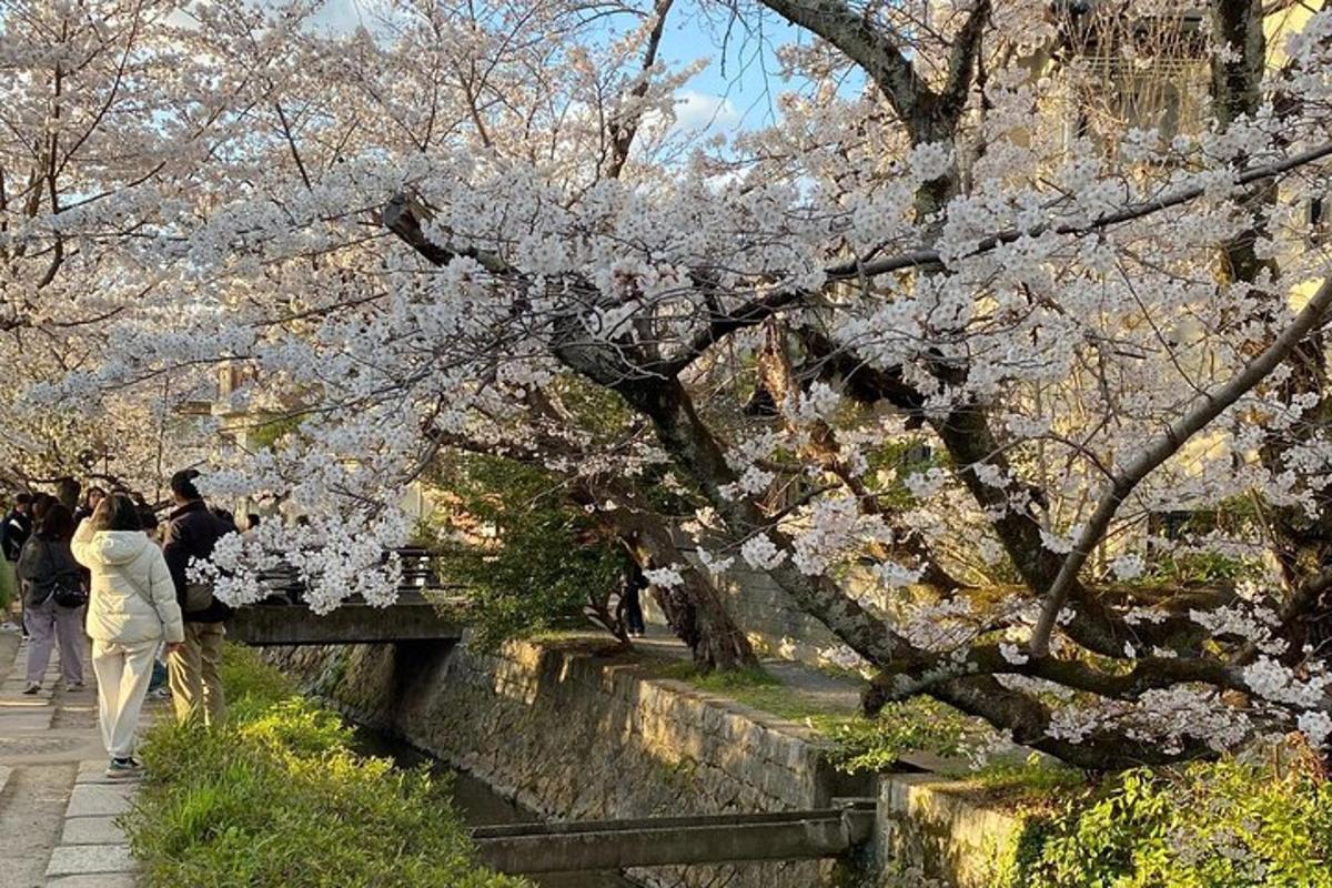 uma mulher caminhando sob uma árvore com flores brancas