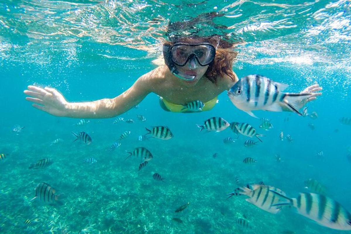 seseorang di dalam air dengan seekor ikan