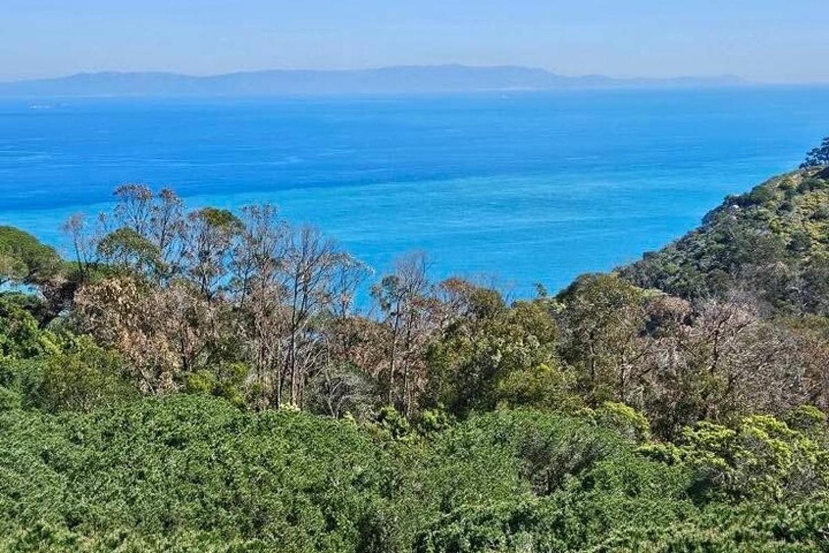 uma vista do oceano de uma colina com árvores