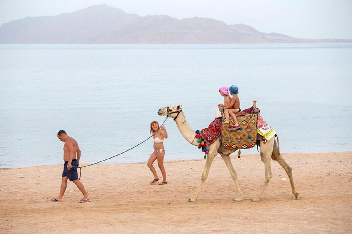 a group of people riding a camel on the beach