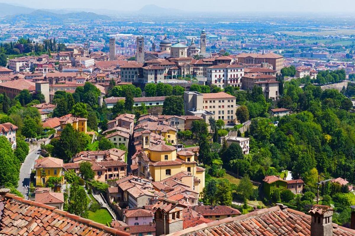 a view of a city with houses and trees